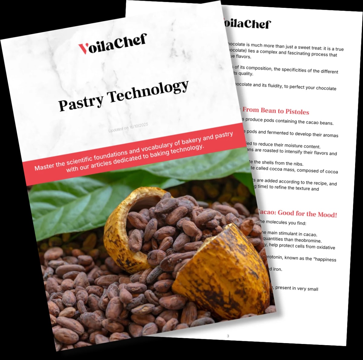 Preview of the Pastry Technology series: English cover and sample pages